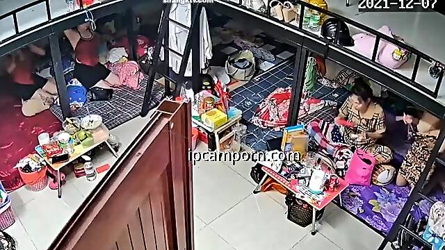 Voyeur Vídeos