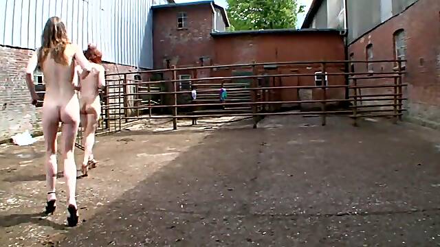 フル動画 ビデオ