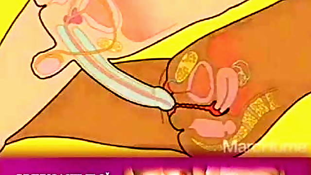 Putonas Xhamster, Bdsm Humillaciones, Masturbacion Orgasmo Xhamster