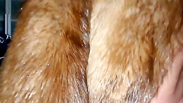 POV homemade I fuck my husband in my fur coat and my big tits jiggle on my hairy butterfly pussy